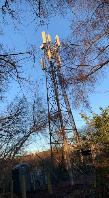 Crowthorne Forest mast.png