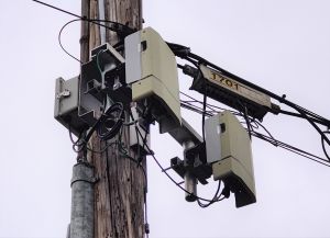A Telus small cell with two antennas on a utility pole.