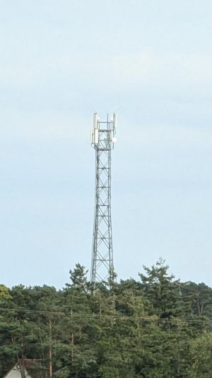 Signal-2024-08-22-18-13-37-741.jpg