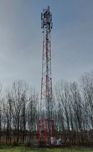 Common tower with Telekom in Abony