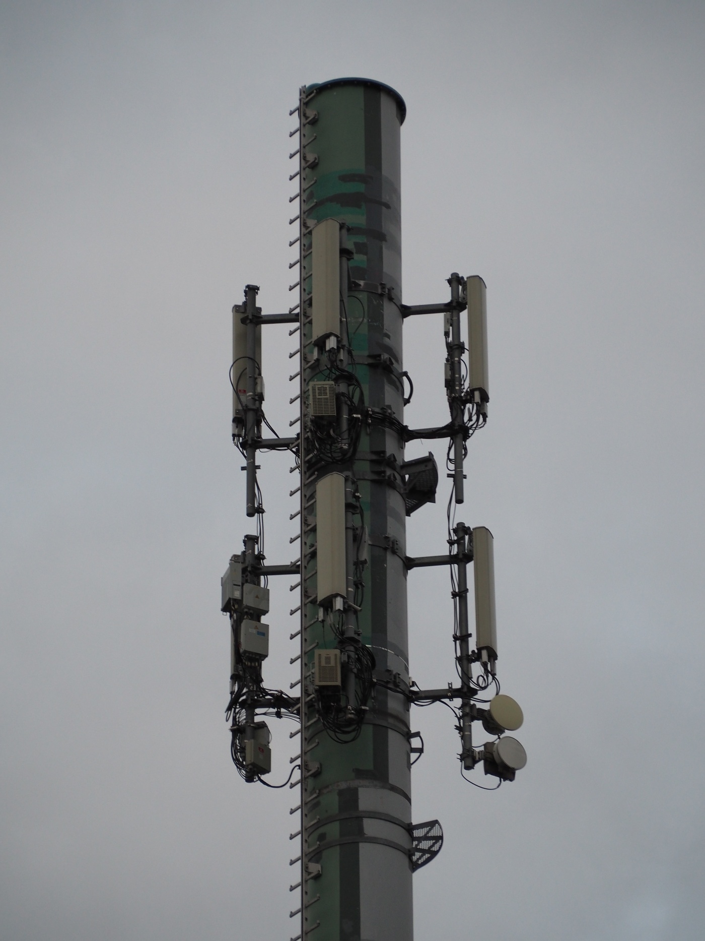 VF12807-antennas.JPG