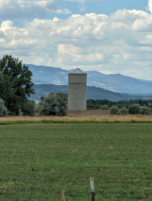 Stealth Tower Fake Silo.jpg