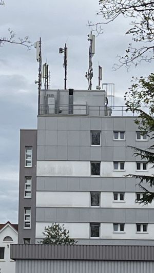 262 2 72364.jpg