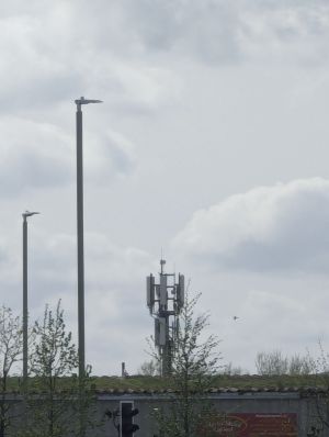 Image depicts a macro site from 20x zoom and two lampposts on the left