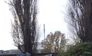 Picture of Vodafone cell tower (which also broadcasts O2) next to a Lidl supermarket