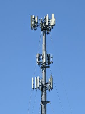 A monopole with three cellular antenna racks.