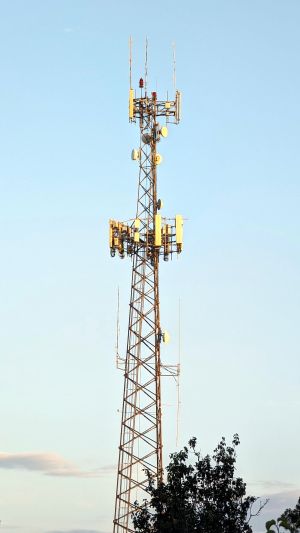 A communications tower with SouthernLinc and AT&T antennas, plus various public safety antennas for the city of Foley, Alabama.