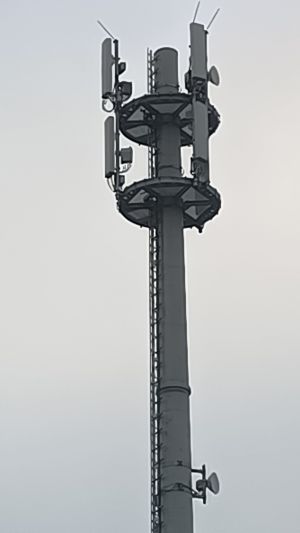 Sender-Ro-Baisingen-Antennenbühnen.jpg