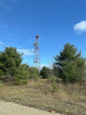 Verizon on Cooks, MI Long Lines Tower