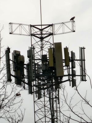 Verizon Tower in Waterloo - eNB 230331. Equipment as of April 2022 is xLTE-era B13/66 and CDMA antennas.