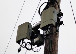 A Telus small cell with two antennas on a utility pole.