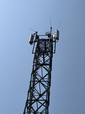 39283968-Mast-1.jpg