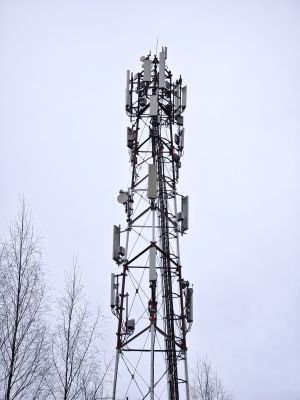 202990 .jpg